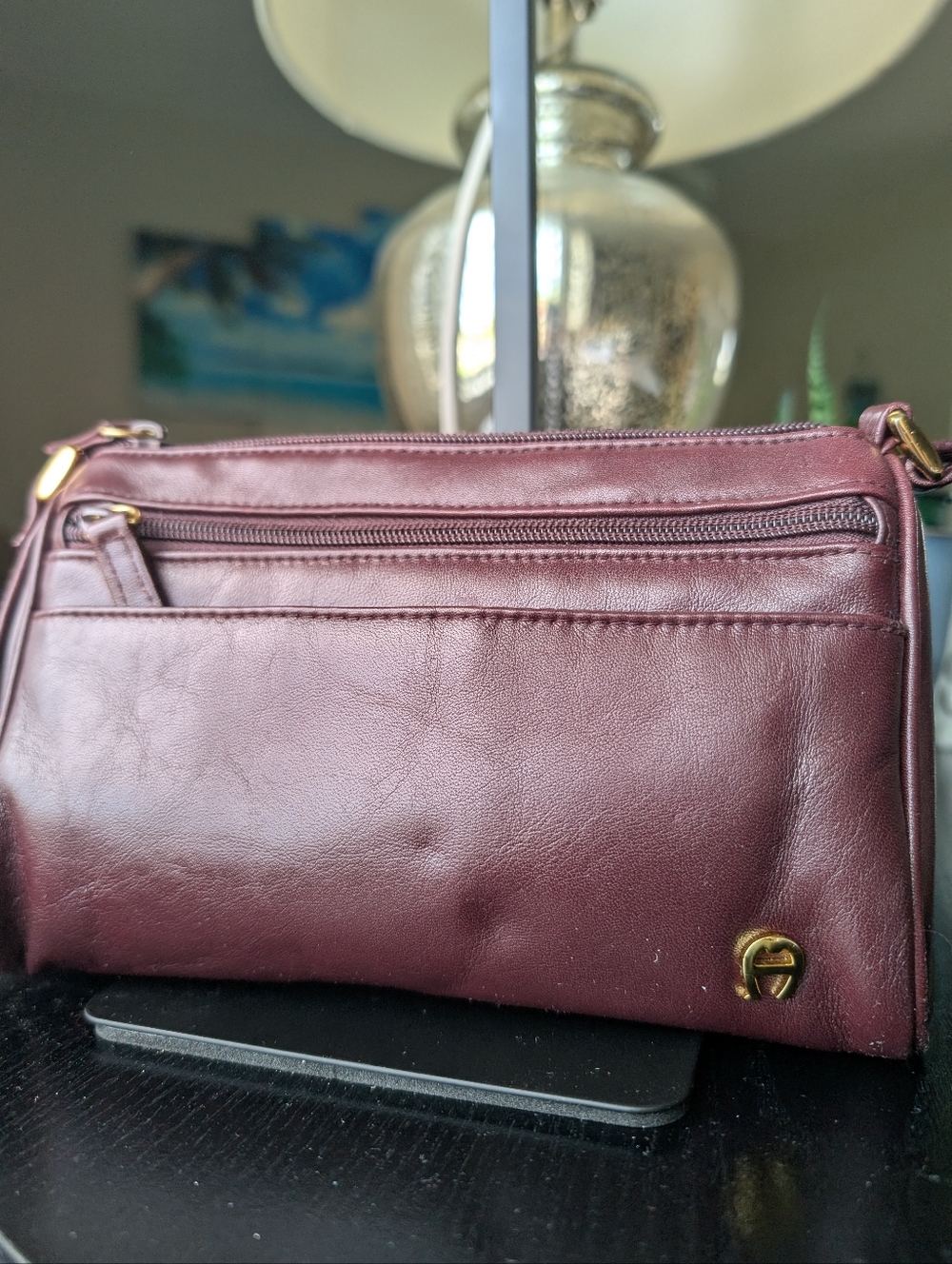 Etiene Aigner Crossbody Bag with Multiple Compartments and Metal Hardware
